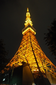 東京タワー8