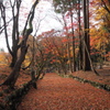 鶏足寺8