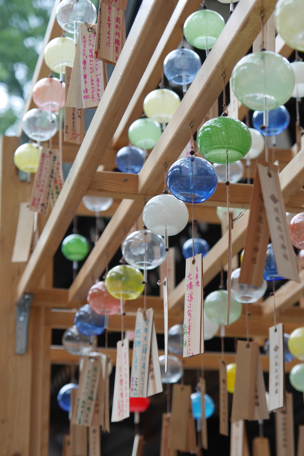 川越氷川神社　⑤