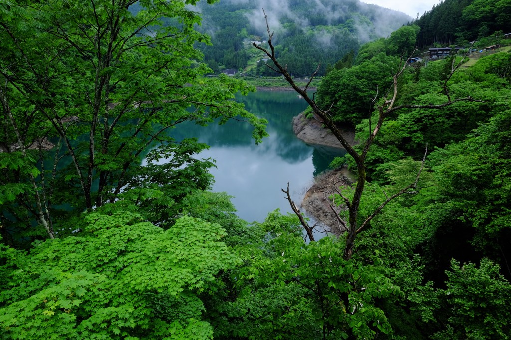 緑深まる