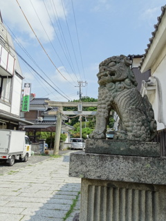 山口花岡八幡宮～正面狛犬（阿）