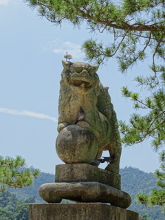 狛犬と鳩