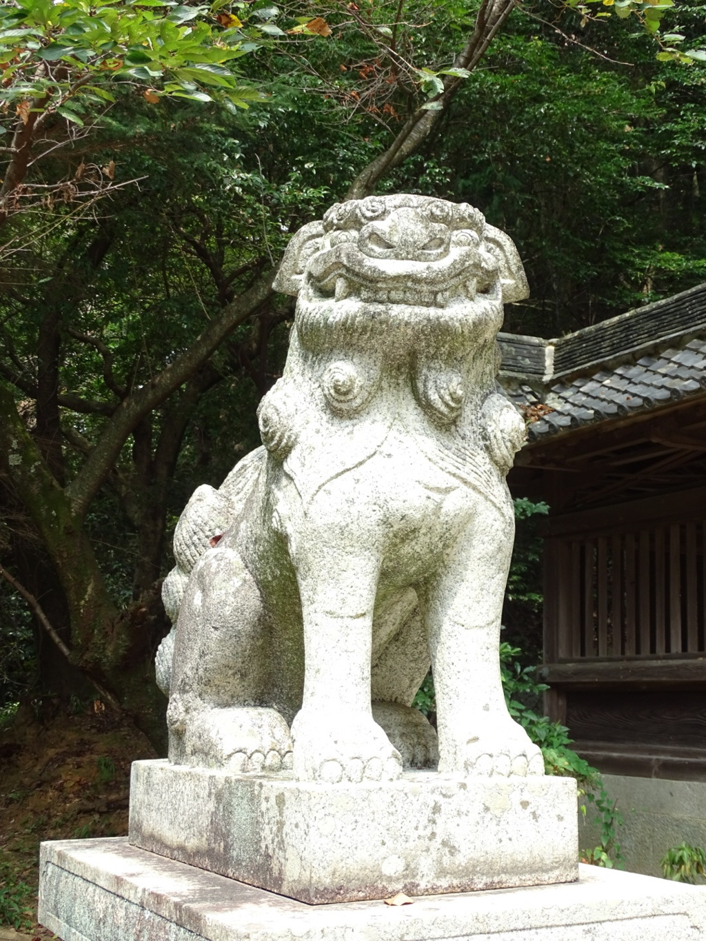 山口県花岡八幡宮～狛犬二対目
