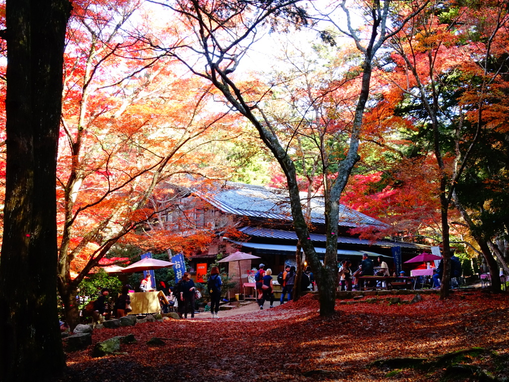 秋の宮島～紅葉谷公園