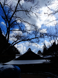 龍蔵寺の青空