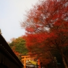 京都清滝　鳥居本の紅葉