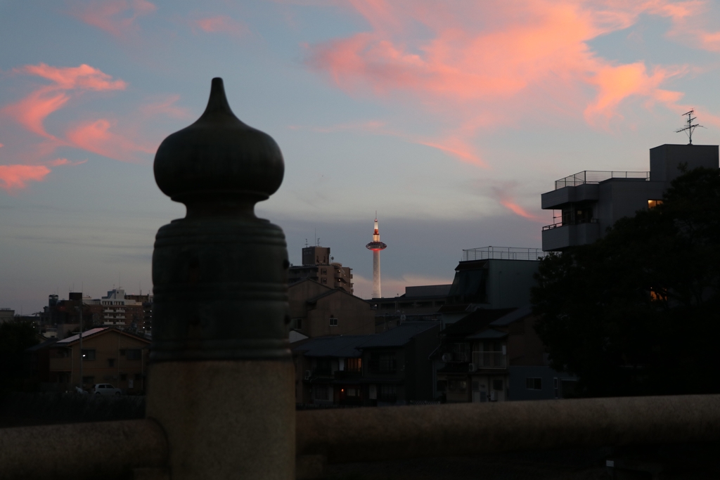 京都　五条大橋からの夕景