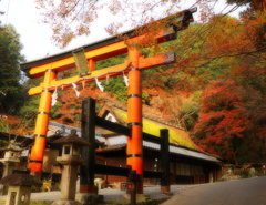 京都清滝　鳥居本の紅葉4