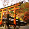 京都清滝　鳥居本の紅葉4