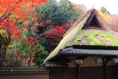 京都清滝　鳥居本の紅葉3