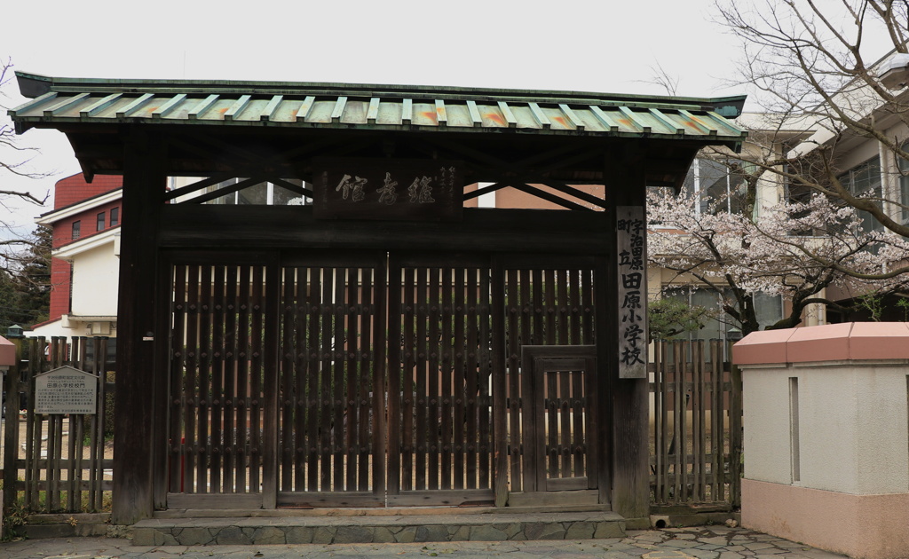 咲いた咲いた桜が咲いた