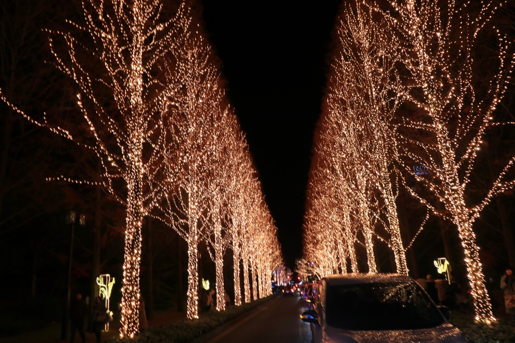 クリスマスの京都　五条春日通り2