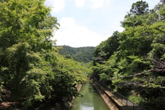 京都　疎水(山科)