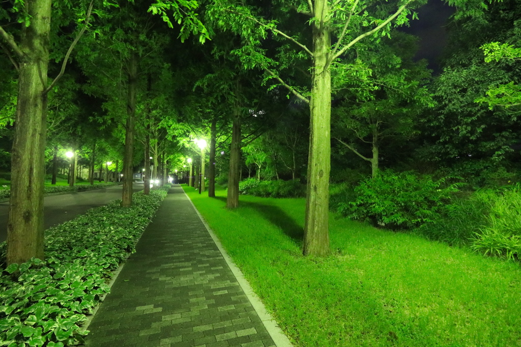 京都　五条春日通り　綺麗な公道