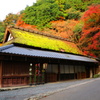 京都清滝　鳥居本の紅葉2