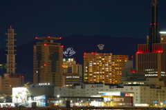 神戸　ポートアイランド北公園(４)