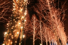 クリスマスの京都　五条春日通り３