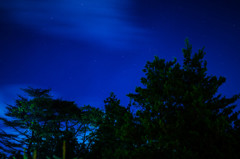 夏の星空