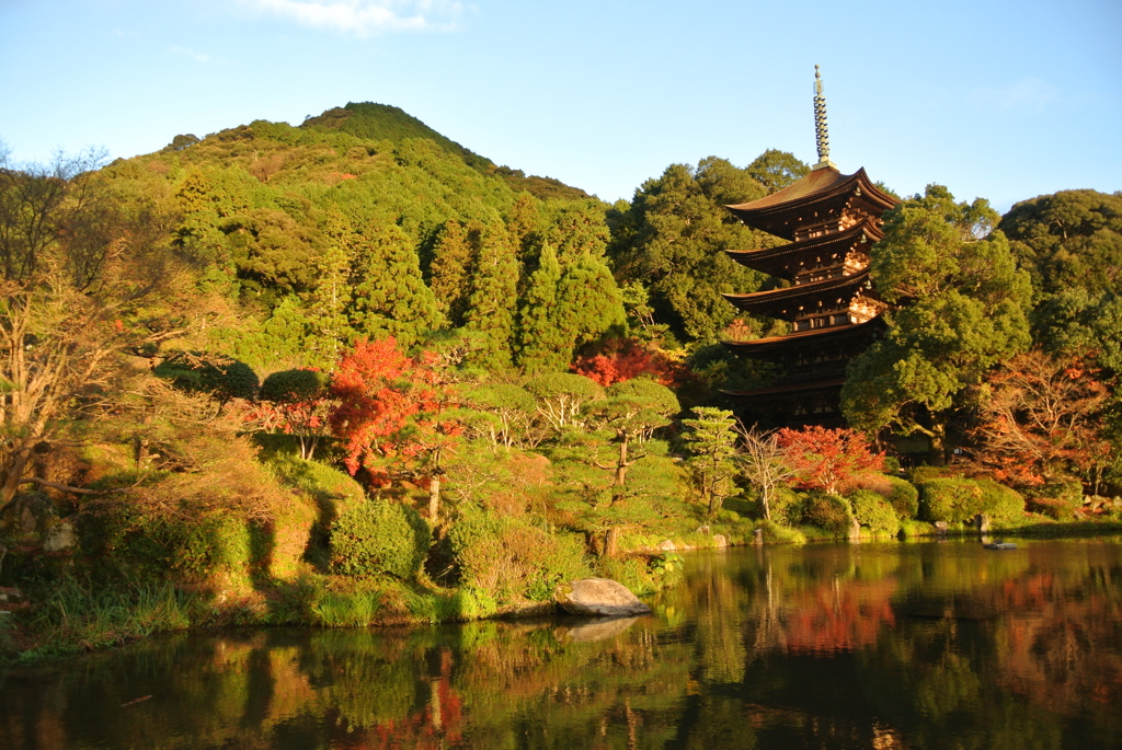 早朝の瑠璃光寺