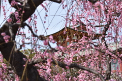 防府天満宮