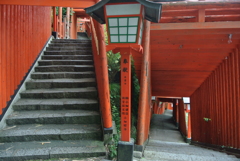 津和野・太皷谷稲成神社 千本鳥居