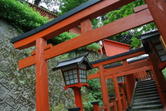 津和野・太皷谷稲成神社 千本鳥居