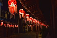 金魚ちょうちん@山口県柳井市