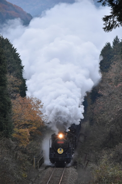 重連運転ＳＬやまぐち号＠逆篠目