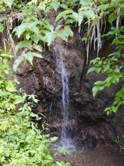 里山十帖
