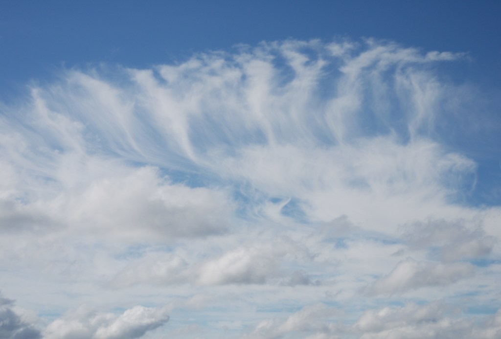 雲