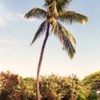 ハワイ・マウイ島
