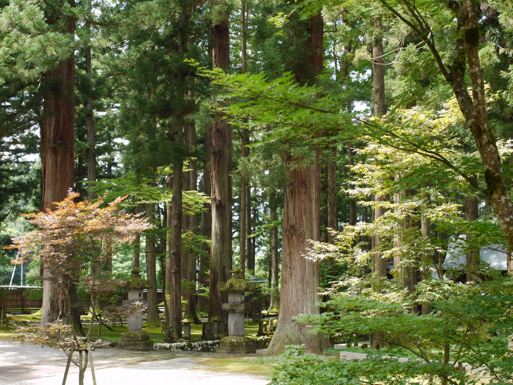 雲洞庵