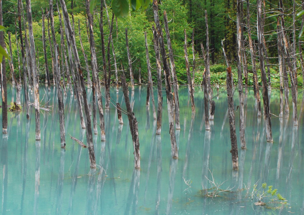 青い池
