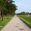 水元公園