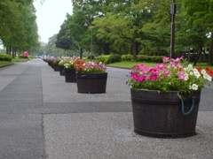 水元公園
