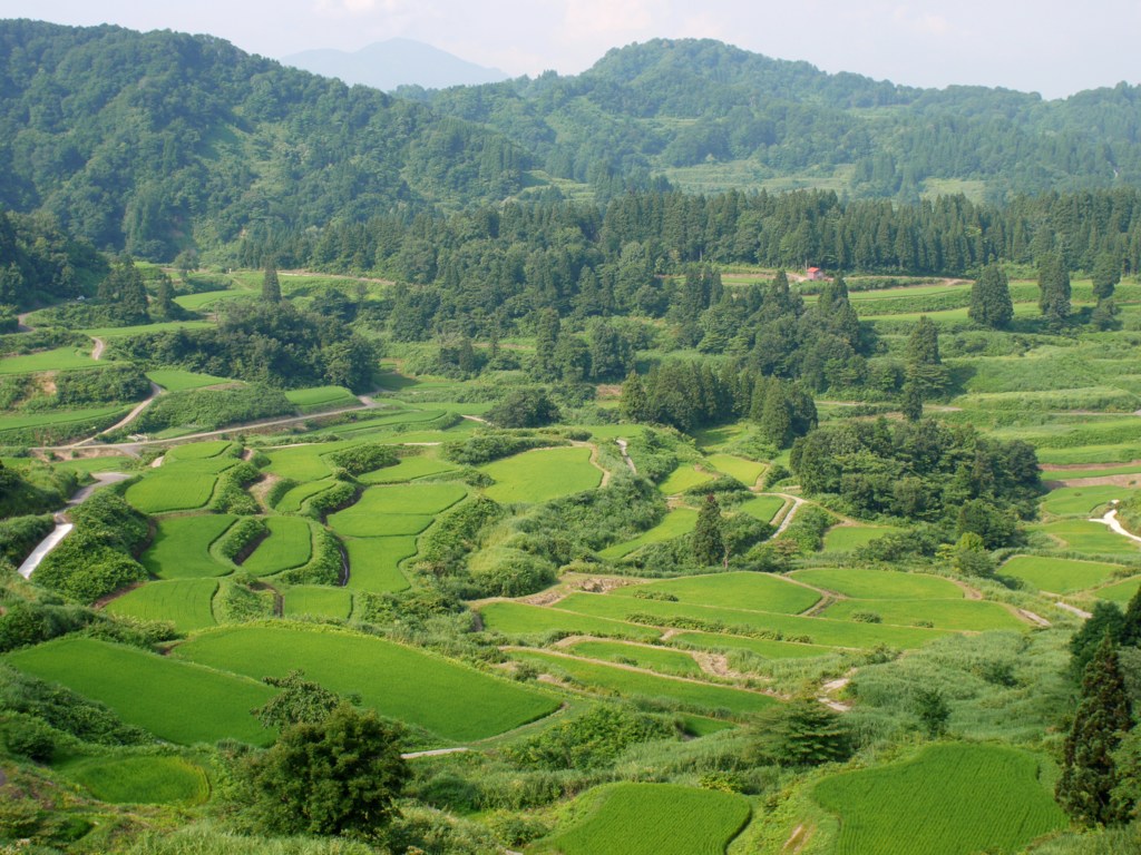 星峠の棚田