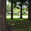水元公園
