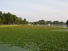 水元公園