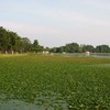 水元公園
