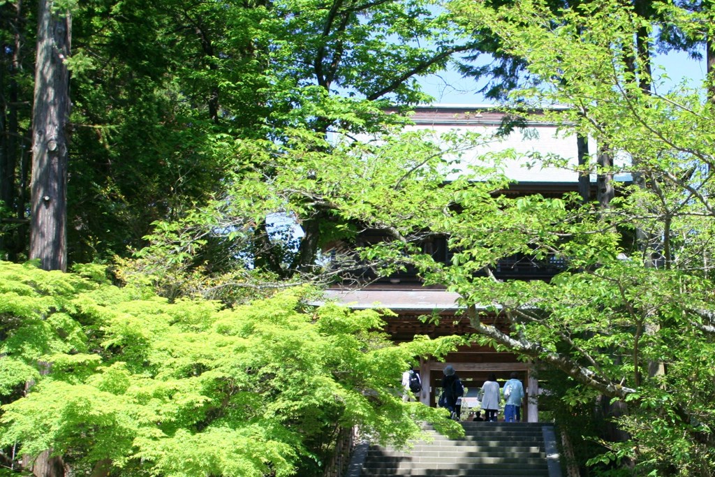 鎌倉