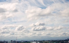 雲