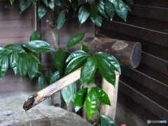 小豆島