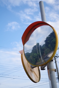 散歩中の一コマ
