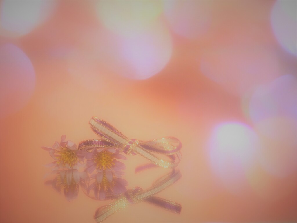 お変わりありませんか　元気、しています　　