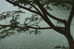 奥多摩