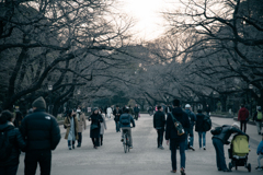 上野公園