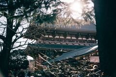 浅草