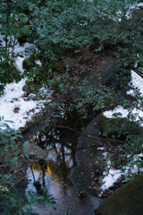 木と雪と水