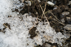 雪