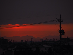 不眠朝の窓辺